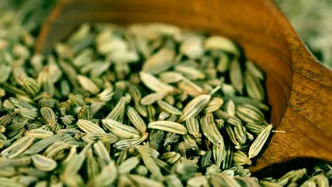 تصویر 4 از زیره سبز طبیعی با طعمی اصیل و عطر بی نظیر